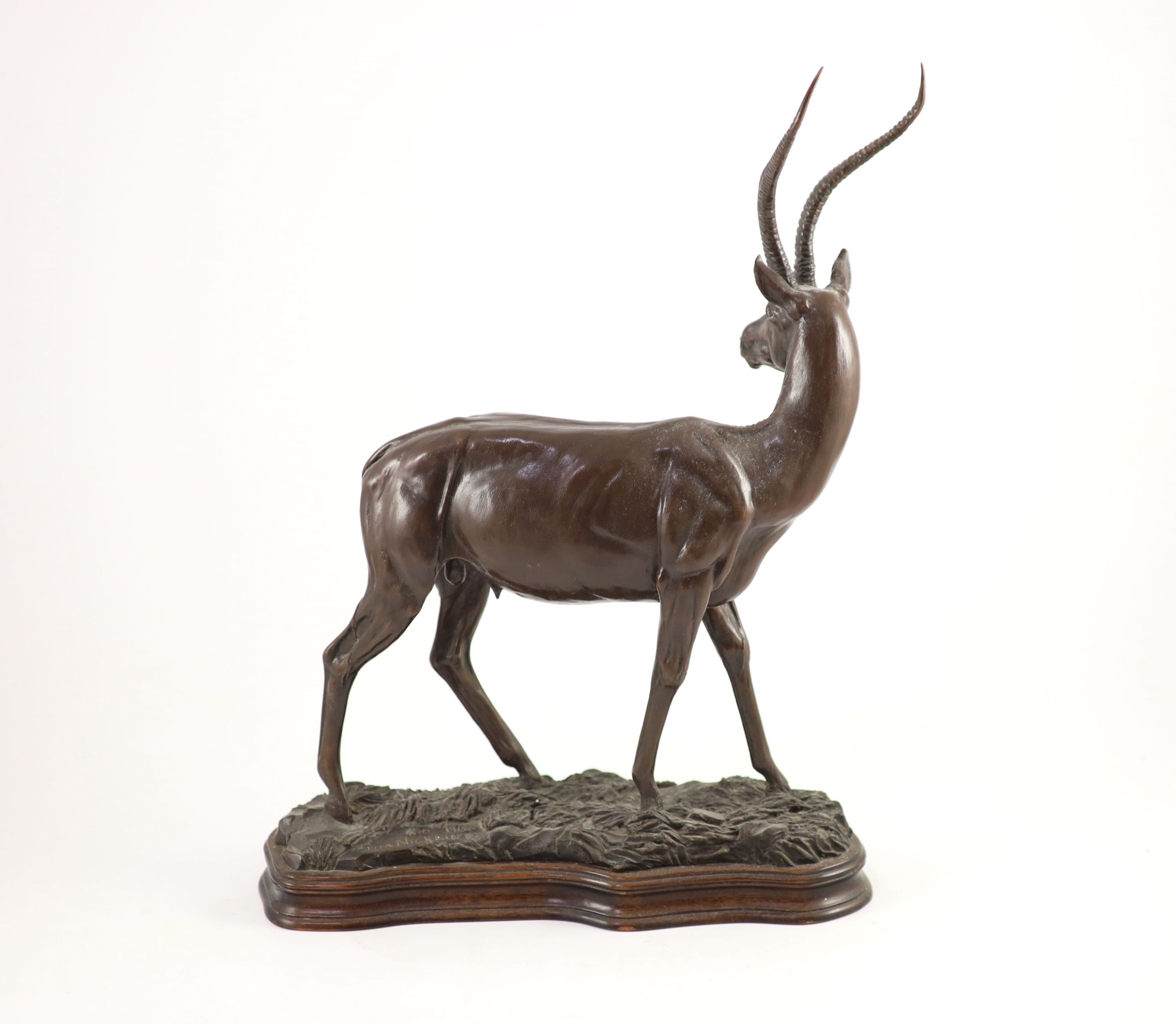 Tim Nicklin. A bronze model of a Grants gazelle length 33cm height 41cm